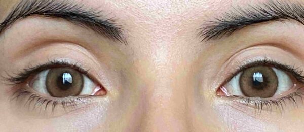 Fog Brown - Imagen 3