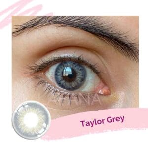 Taylor Grey